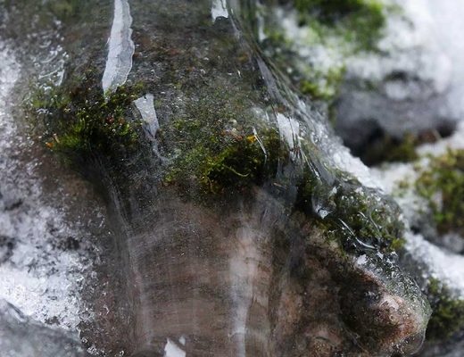 talviaiheinen valokuva, 885x1327