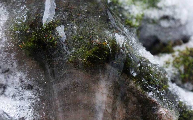 talviaiheinen valokuva, 885x1327